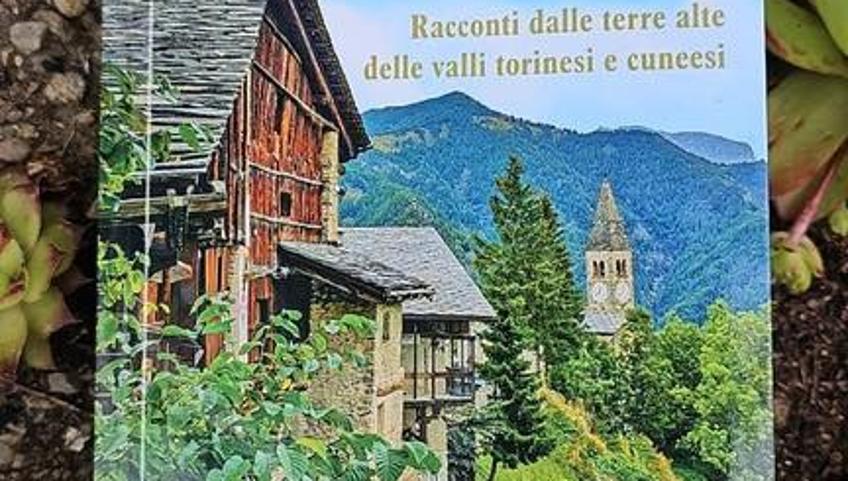 VITE IN SALITA